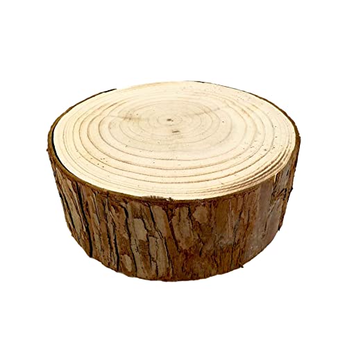 台座　木の切り株　天然木 台座 木の切り株 天然木